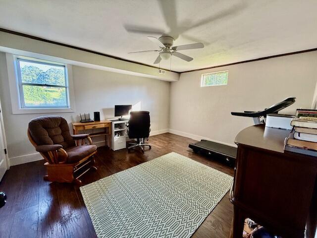 2294 E State Route K, West Plains, MO 65775 - photo 35