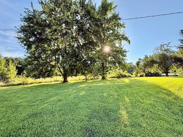 2294 E State Route K, West Plains, MO 65775 - photo 39