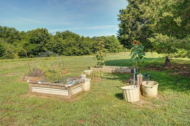 8404 Fossilsaurus Ln, Ash Grove, MO 65604 - view of green lawn with a garden
