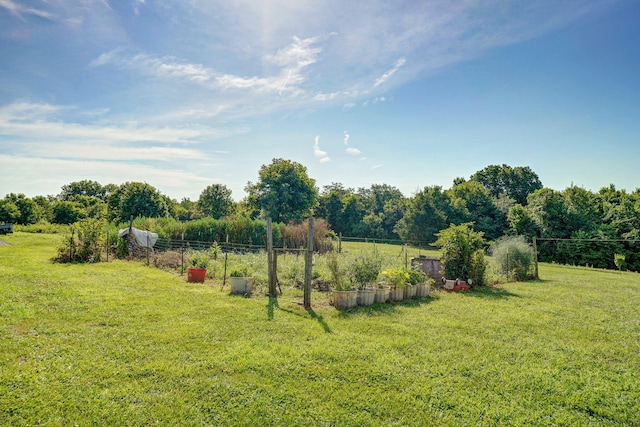 8404 Fossilsaurus Ln, Ash Grove, MO 65604 - view of yard with a view of rural / pastoral area