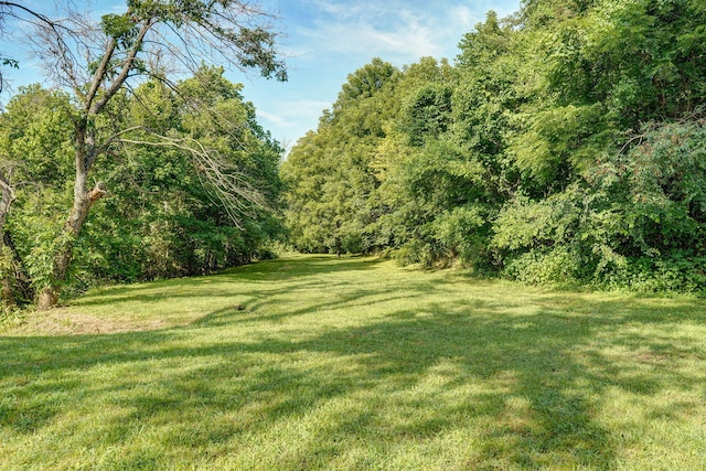 8404 Fossilsaurus Ln, Ash Grove, MO 65604 - view of grassy yard with a wooded view