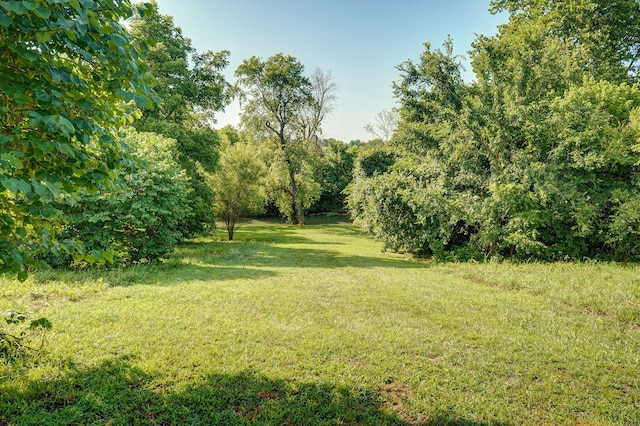 8404 Fossilsaurus Ln, Ash Grove, MO 65604 - view of green lawn