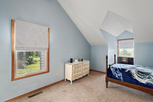 8404 Fossilsaurus Ln, Ash Grove, MO 65604 - bedroom with light colored carpet and lofted ceiling