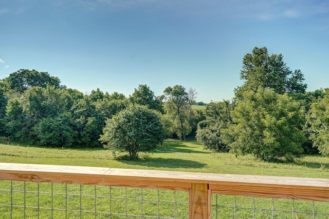 8404 Fossilsaurus Ln, Ash Grove, MO 65604 - view of grassy yard