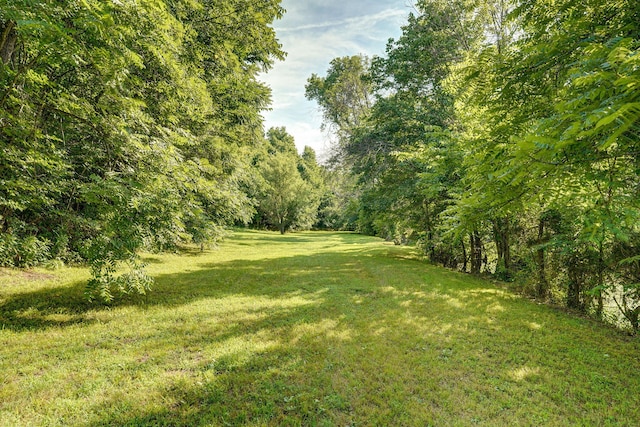 8404 Fossilsaurus Ln, Ash Grove, MO 65604 - view of green lawn with a view of trees
