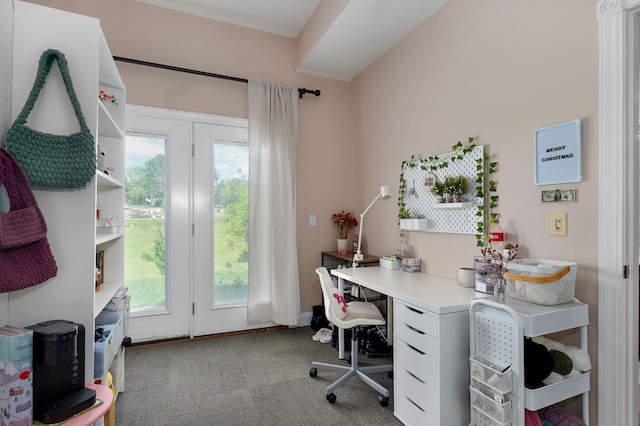 1776 S Gregg Rd, Nixa, MO 65714 - office space with plenty of natural light and carpet