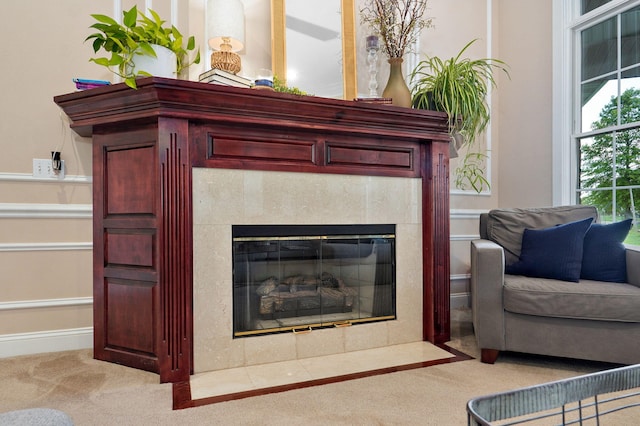 1776 S Gregg Rd, Nixa, MO 65714 - detailed view of carpet floors and a tiled fireplace