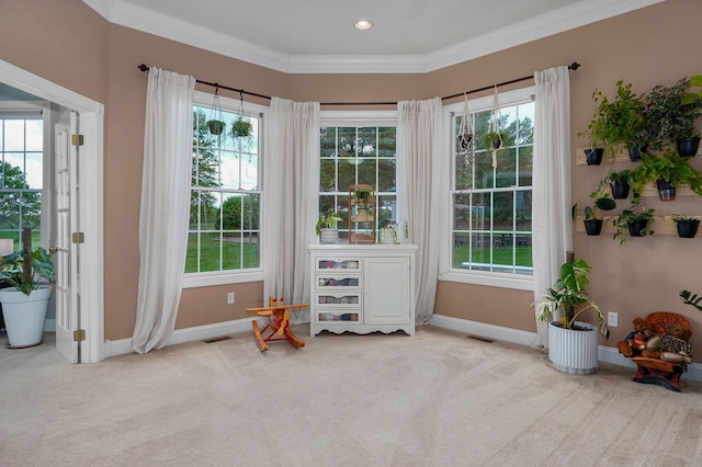 1776 S Gregg Rd, Nixa, MO 65714 - entryway featuring carpet flooring, healthy amount of natural light, and crown molding