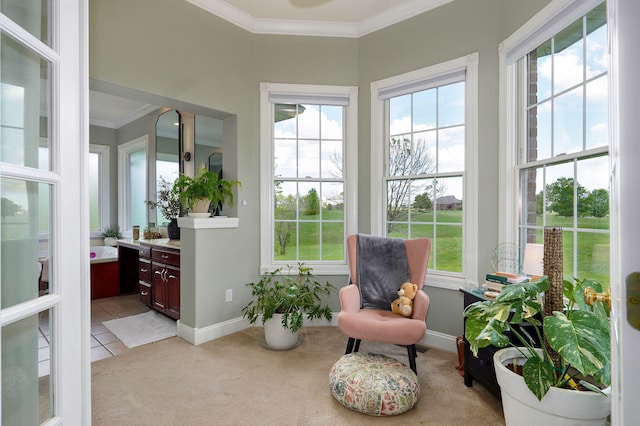 1776 S Gregg Rd, Nixa, MO 65714 - sunroom with healthy amount of natural light