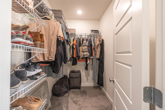1643 Columbia Ave, Rolla, MO 65401 - walk in closet with carpet flooring