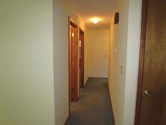 285 Scenic Dr, Forsyth, MO 65653 - corridor featuring carpet flooring
