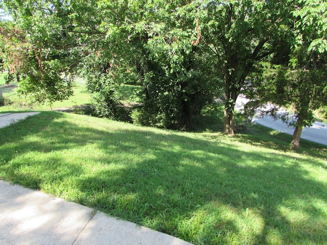 285 Scenic Dr, Forsyth, MO 65653 - view of green lawn