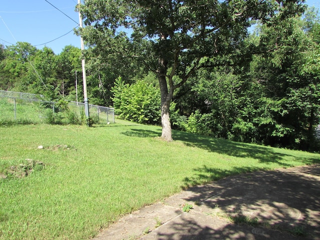 285 Scenic Dr, Forsyth, MO 65653 - view of yard