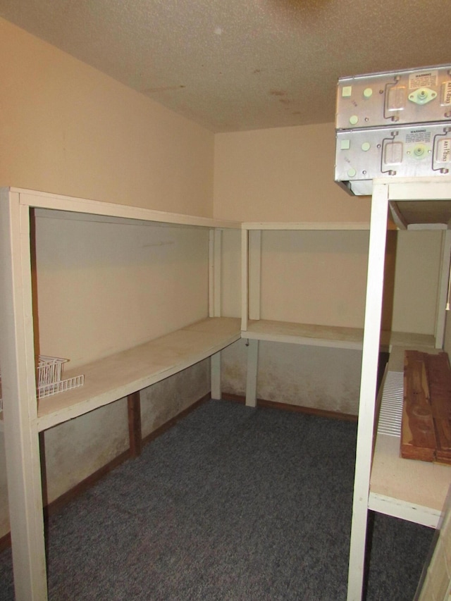 285 Scenic Dr, Forsyth, MO 65653 - view of storage area