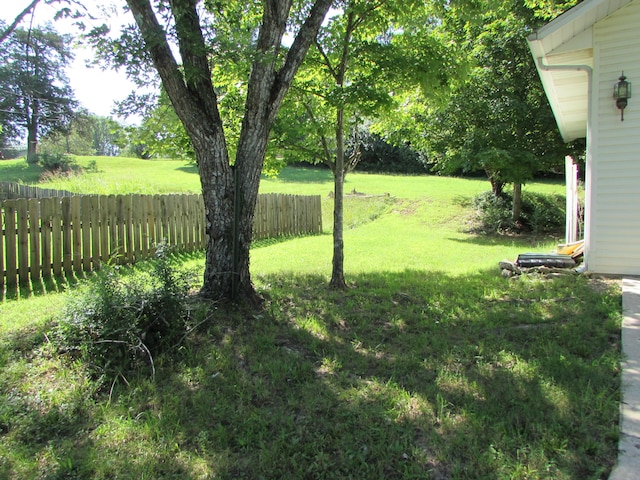 285 Scenic Dr, Forsyth, MO 65653 - view of yard