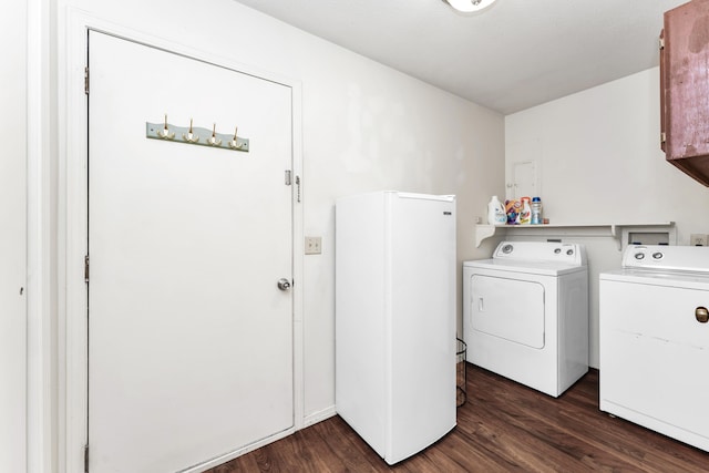 3637 State Highway Y, Forsyth, MO 65653 - washroom with independent washer and dryer and dark wood-style floors
