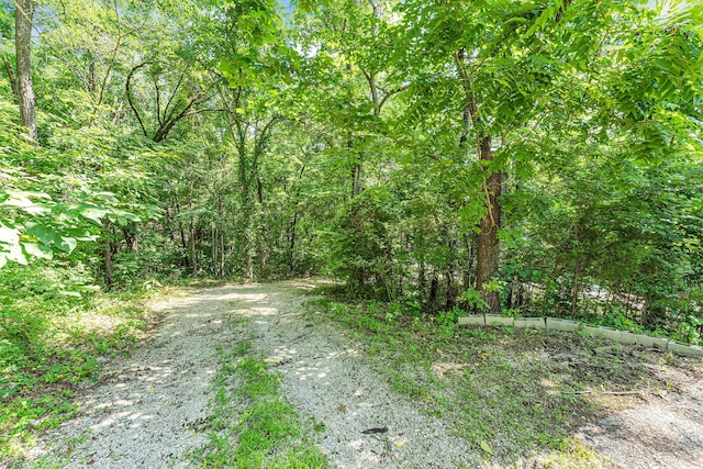 3637 State Highway Y, Forsyth, MO 65653 - view of road with a forest view