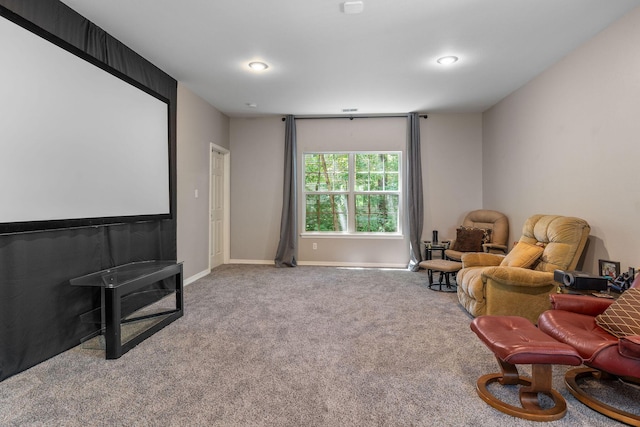 277 Country Bluff Dr, Branson, MO 65616 - sitting room with carpet floors