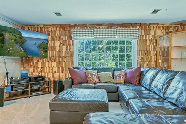107 Oakwood Dr, Branson, MO 65616 - view of carpeted living area