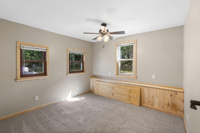 594 Labradore Ln, Lampe, MO 65681 - photo 18