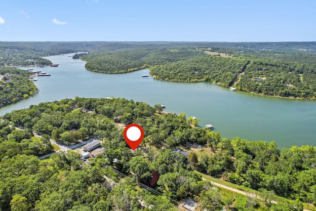 594 Labradore Ln, Lampe, MO 65681 - photo 28
