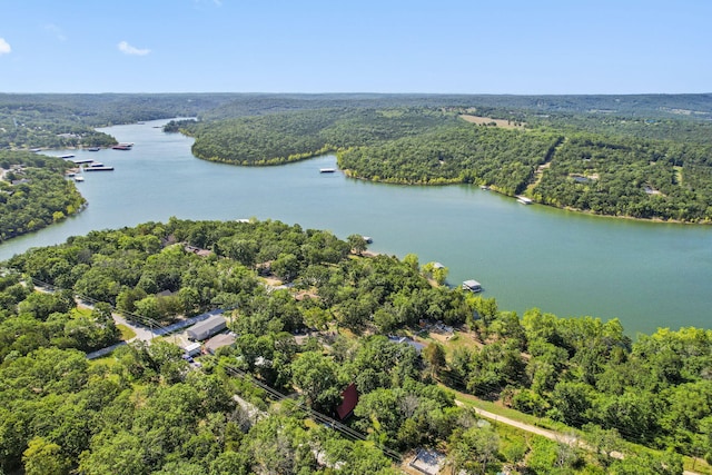 594 Labradore Ln, Lampe, MO 65681 - photo 27