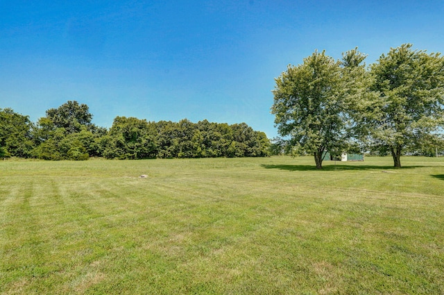 15 Shaffer Rd, Fair Grove, MO 65648 - photo 52