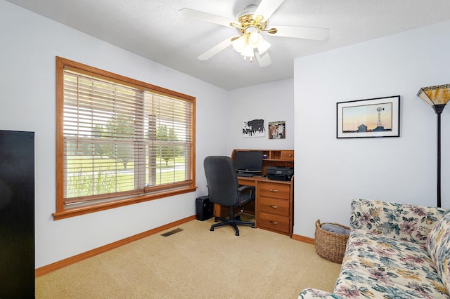 15 Shaffer Rd, Fair Grove, MO 65648 - photo 27