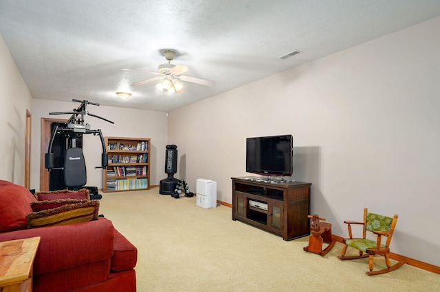 15 Shaffer Rd, Fair Grove, MO 65648 - photo 32