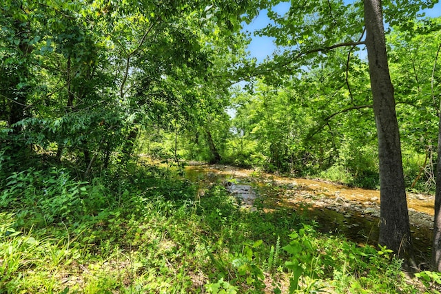 7815 Cozy Cove Rd Unit 3-15, Branson, MO 65616 - view of local wilderness