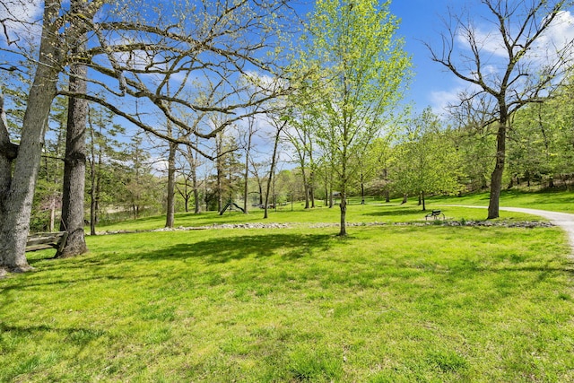 7815 Cozy Cove Rd Unit 3-15, Branson, MO 65616 - view of grassy yard