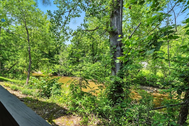 7815 Cozy Cove Rd Unit 3-15, Branson, MO 65616 - view of woods