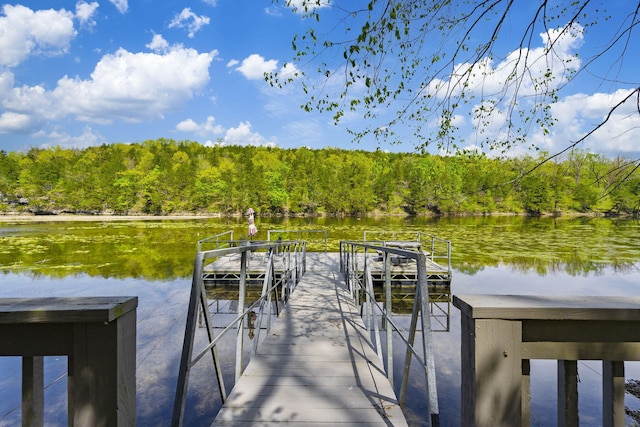 7815 Cozy Cove Rd Unit 3-15, Branson, MO 65616 - dock area featuring a water view and a view of trees