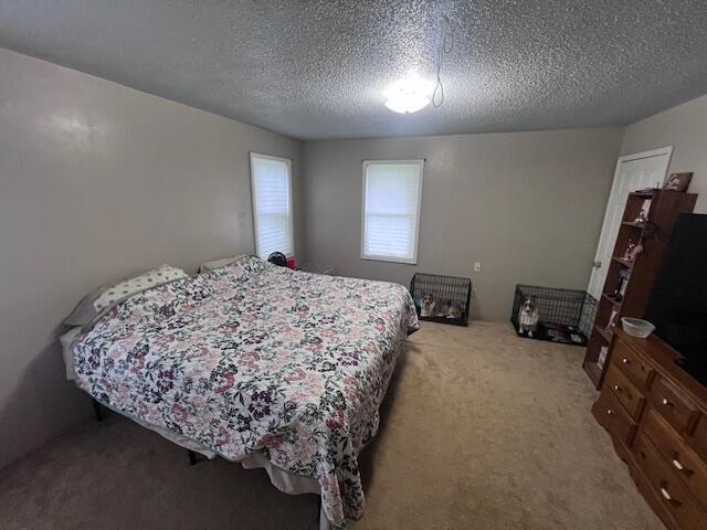 306 Water St, Alton, MO 65606 - photo 13