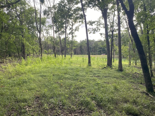 000 Wooley Creek Rd, Cape Fair, MO 65624