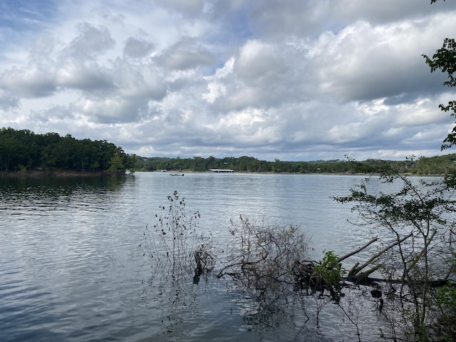 000 Wooley Creek Rd, Cape Fair, MO 65624