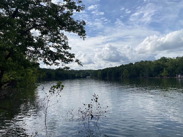 000 Wooley Creek Rd, Cape Fair, MO 65624