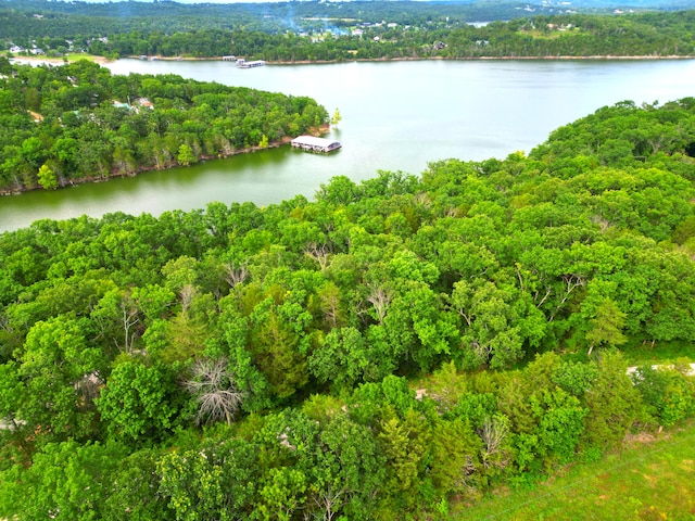 000 Wooley Creek Rd, Cape Fair, MO 65624
