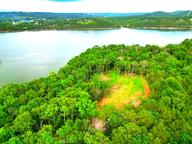 000 Wooley Creek Rd, Cape Fair, MO 65624