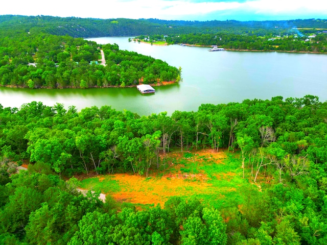 000 Wooley Creek Rd, Cape Fair, MO 65624