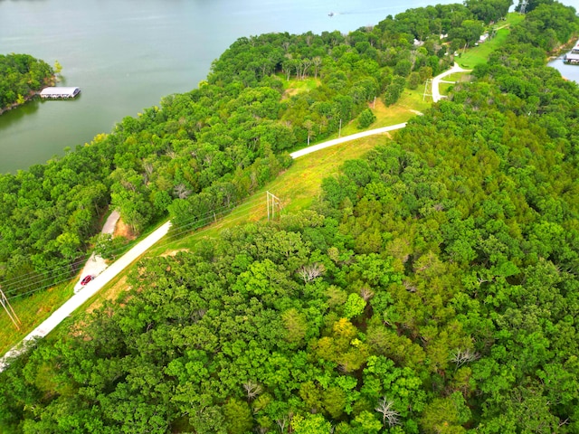 000 Wooley Creek Rd, Cape Fair, MO 65624