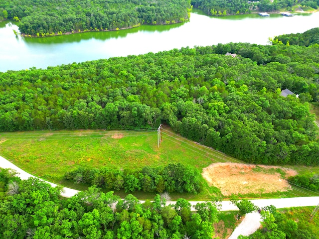 000 Wooley Creek Rd, Cape Fair, MO 65624