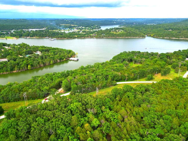 000 Wooley Creek Rd, Cape Fair, MO 65624