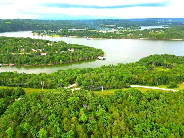 000 Wooley Creek Rd, Cape Fair, MO 65624