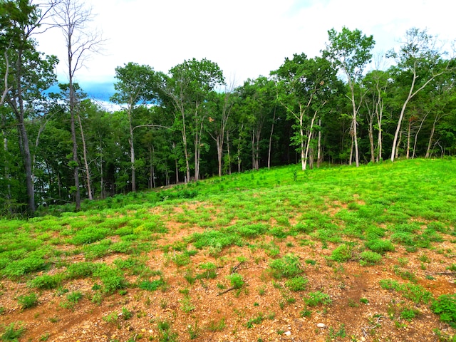 000 Wooley Creek Rd, Cape Fair, MO 65624