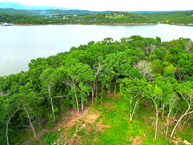 000 Wooley Creek Rd, Cape Fair, MO 65624
