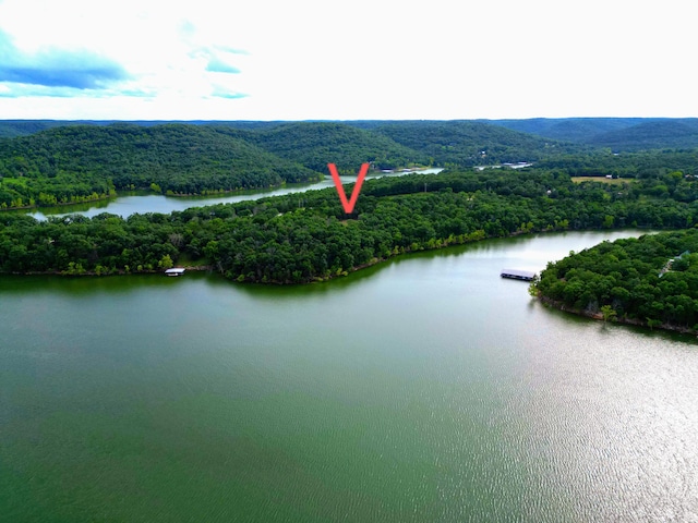 000 Wooley Creek Rd, Cape Fair, MO 65624