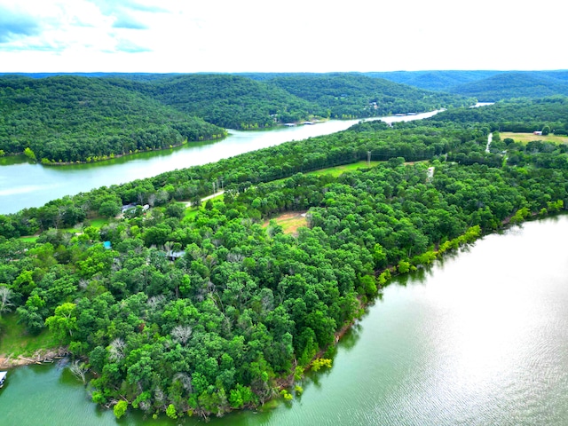 000 Wooley Creek Rd, Cape Fair, MO 65624