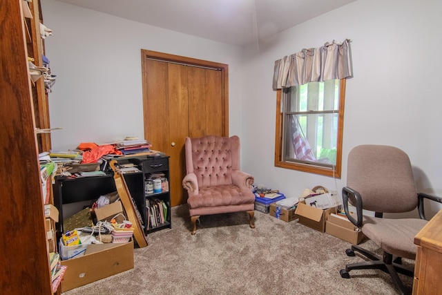1746 Wall Rd, Mountain Grove, MO 65711 - view of carpeted office