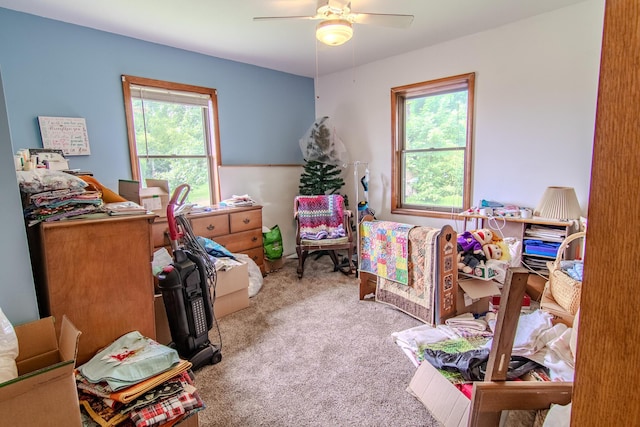 1746 Wall Rd, Mountain Grove, MO 65711 - bedroom with multiple windows, carpet flooring, and a ceiling fan